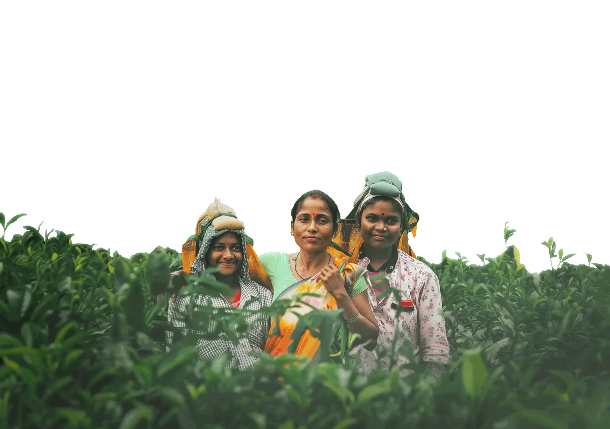 Three women farmers standing together in a lush green field, smiling and wearing headscarves and colorful clothing against a pale green background.